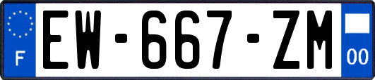 EW-667-ZM
