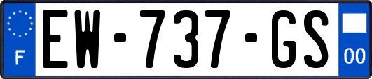EW-737-GS