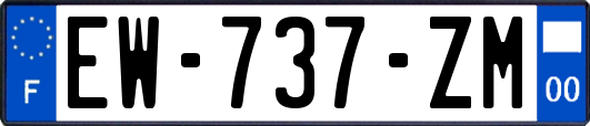 EW-737-ZM