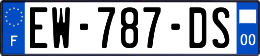EW-787-DS