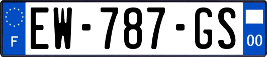 EW-787-GS