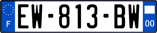 EW-813-BW