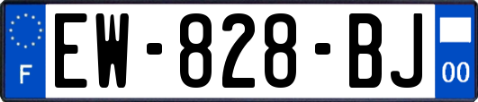 EW-828-BJ