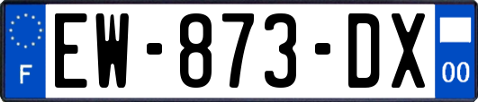 EW-873-DX