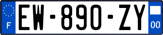 EW-890-ZY