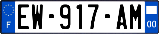 EW-917-AM