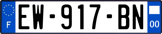 EW-917-BN