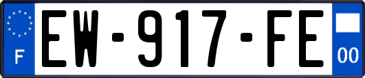 EW-917-FE