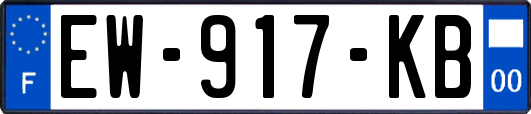 EW-917-KB