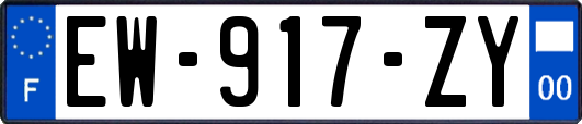 EW-917-ZY