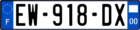 EW-918-DX