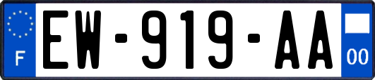 EW-919-AA