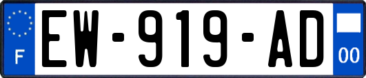 EW-919-AD