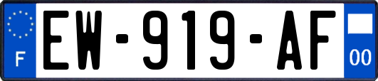 EW-919-AF