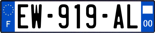 EW-919-AL