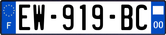 EW-919-BC