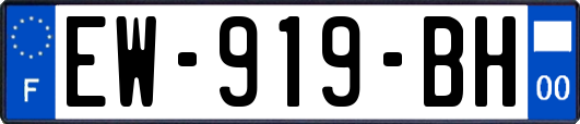 EW-919-BH