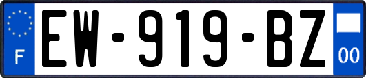 EW-919-BZ