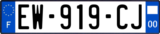 EW-919-CJ