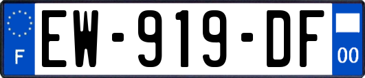EW-919-DF