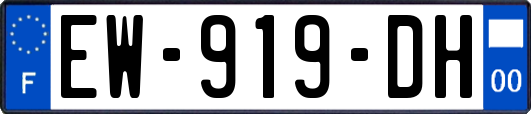 EW-919-DH