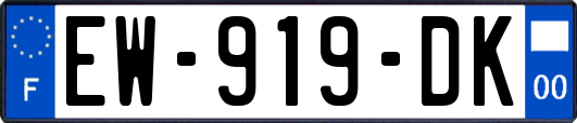 EW-919-DK