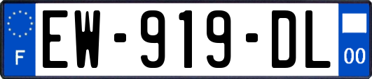 EW-919-DL