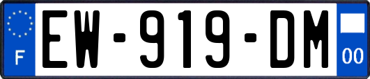 EW-919-DM