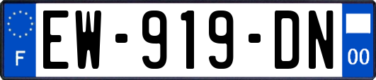 EW-919-DN