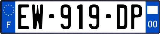 EW-919-DP