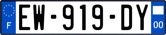 EW-919-DY