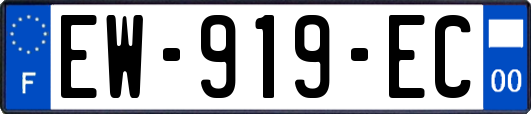 EW-919-EC