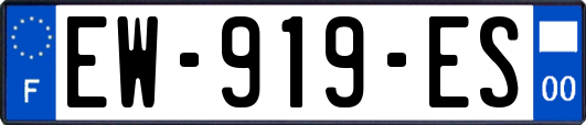 EW-919-ES