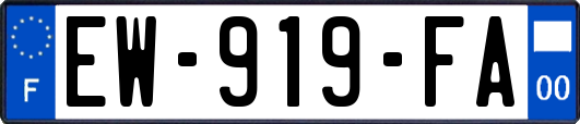 EW-919-FA