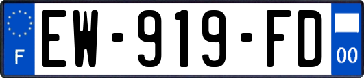 EW-919-FD