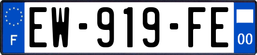 EW-919-FE