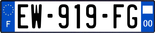 EW-919-FG
