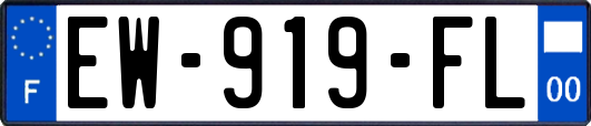 EW-919-FL
