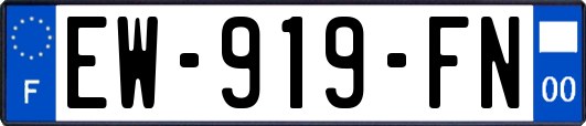 EW-919-FN