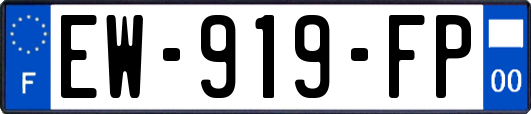 EW-919-FP