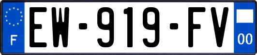 EW-919-FV