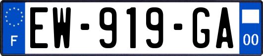 EW-919-GA