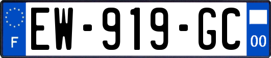 EW-919-GC