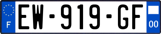EW-919-GF