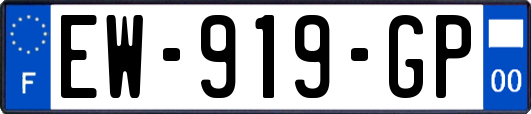 EW-919-GP