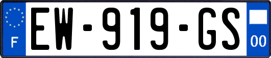 EW-919-GS