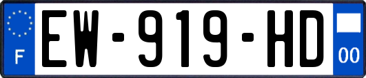 EW-919-HD
