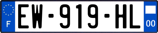 EW-919-HL