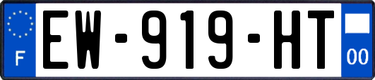 EW-919-HT