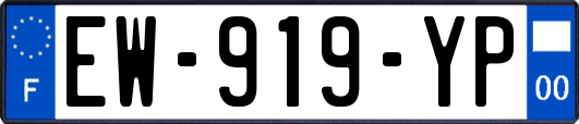 EW-919-YP